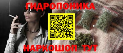 mdpv Лесосибирск