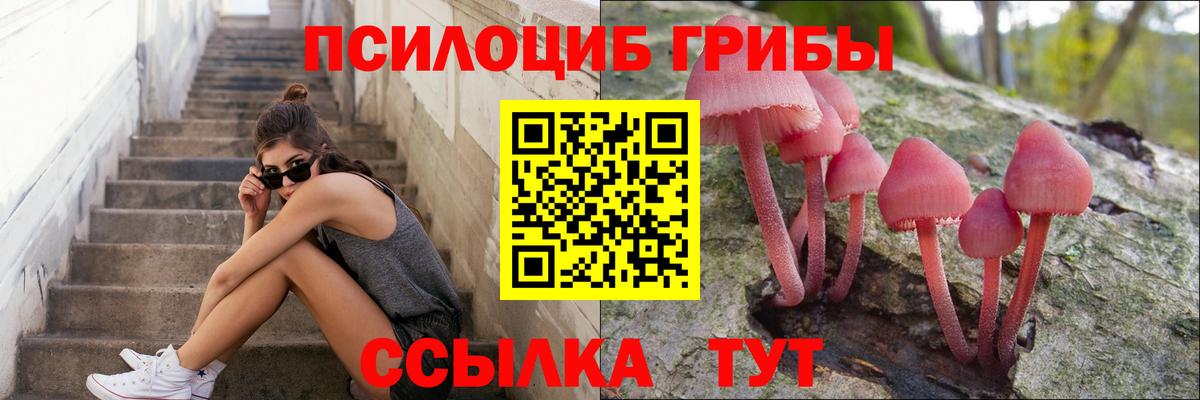 Псилоцибиновые грибы прущие грибы  Вход с VPN  Грозный 