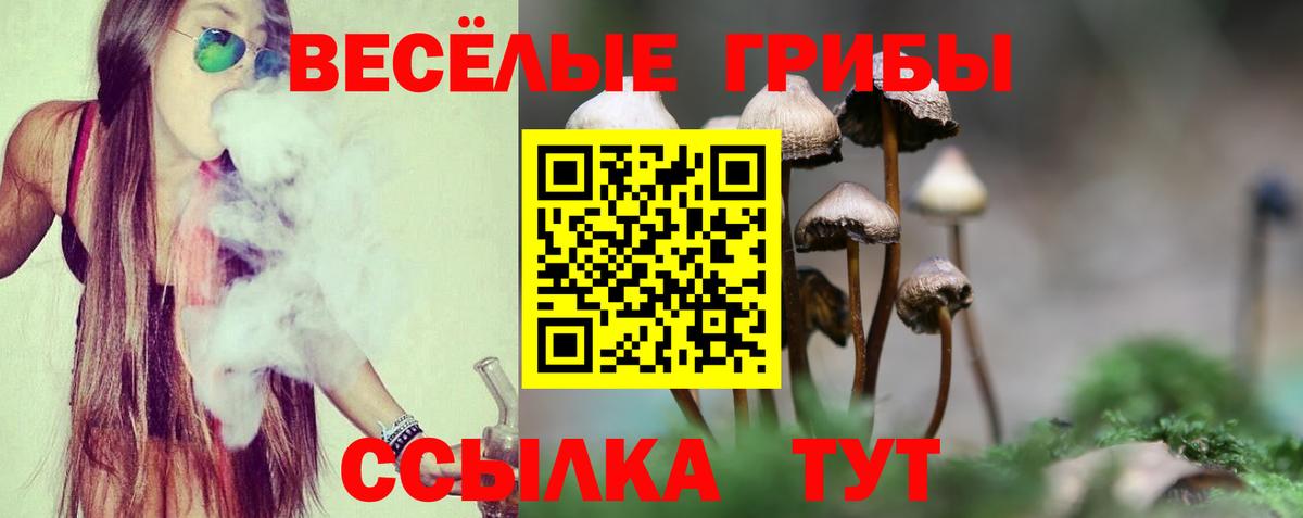 Псилоцибиновые грибы мицелий Грозный