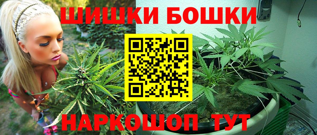 Бошки Шишки ГИДРОПОН Грозный